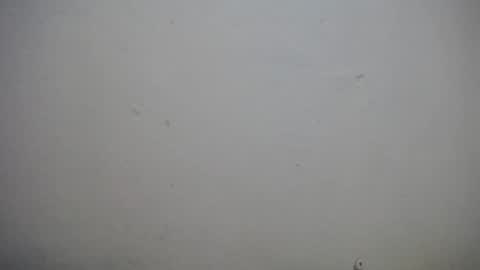 Snapshot of lisa_branch chatting on 11.03.25 lisa_branch online show from 11.03.25