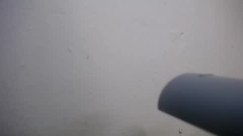 Snapshot of lisa_branch chatting on 11.04.25 lisa_branch online show from 11.04.25