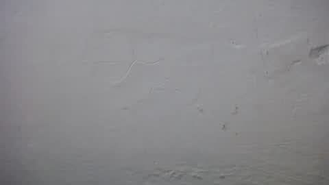 Snapshot of lisa_branch chatting on 11.23.25 lisa_branch online show from 11.23.25