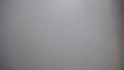 Snapshot of lisa_branch chatting on 12.14.25 lisa_branch online show from 12.14.25