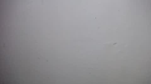 Snapshot of lisa_branch chatting on 12.18.25 lisa_branch online show from 12.18.25