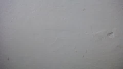 Snapshot of lisa_branch chatting on 12.20.25 lisa_branch online show from 12.20.25