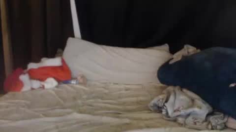 Snapshot of lisa_tyler chatting on 12.27.24 Lisa Tyler online show from 12.27.24