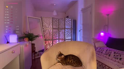 Snapshot of lisamaybe chatting on 11.20.25 Lisa online show from 11.20.25