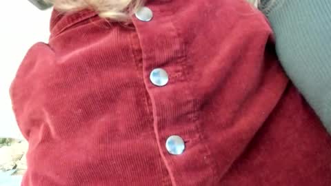 Snapshot of lissacain chatting on 10.30.25 Lissa online show from 10.30.25