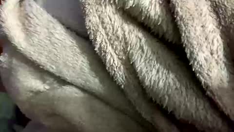 little_sissy_wendy online show from 02.28.25