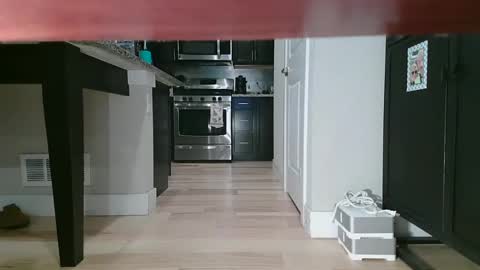 Snapshot of littleclitty247 chatting on 09.11.25 Littlleclitty247 online show from 09.11.25