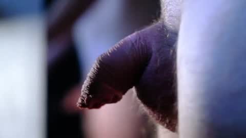 littlescrapper69 online show from 10.09.25