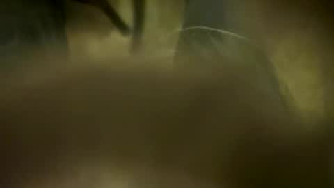 Little Tj online show from 04.06.26