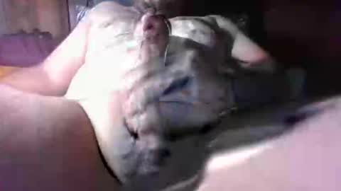 litwinpaweel online show from 12.02.25