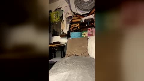 livpiper online show from 04.29.26