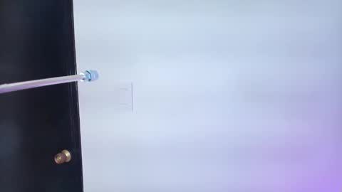 Lizz  online show from 02.06.25