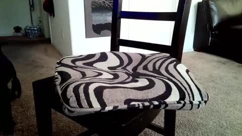 LL Cool Jake online show from 03.16.26