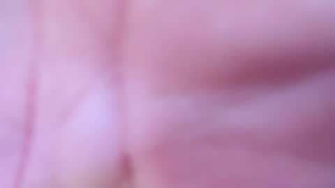 logan online show from 04.15.26