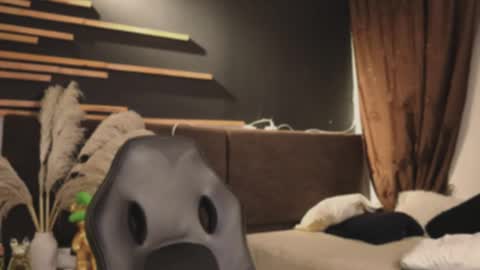 Snapshot of logan_varela chatting on 02.01.25 logan_varela online show from 02.01.25