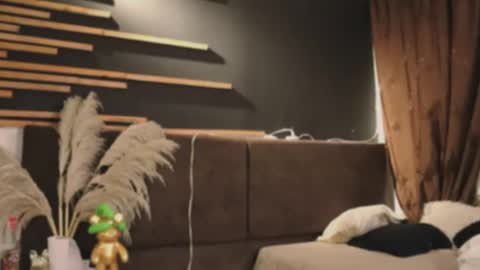 Snapshot of logan_varela chatting on 02.01.25 logan_varela online show from 02.01.25