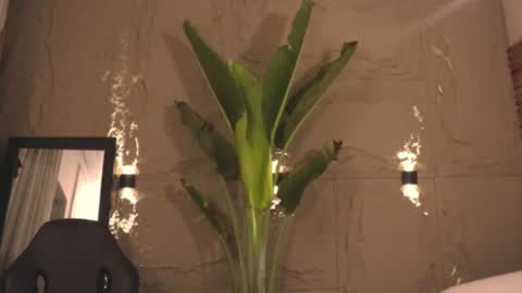 Snapshot of logan_varela chatting on 03.01.25 logan_varela online show from 03.01.25