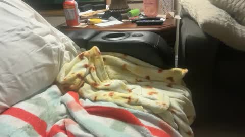 Snapshot of logical12345 chatting on 12.01.25 logical12345 online show from 12.01.25