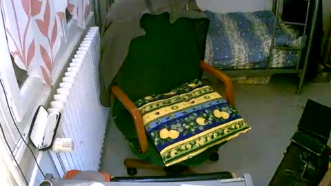 lokoum39 online show from 12.02.24