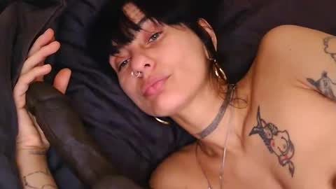 Lola Midnight online show from 04.11.26