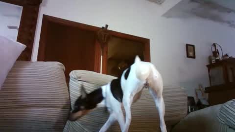 LOLA HUESO y ERIC online show from 01.15.26