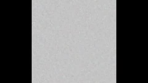 Lola online show from 12.14.25