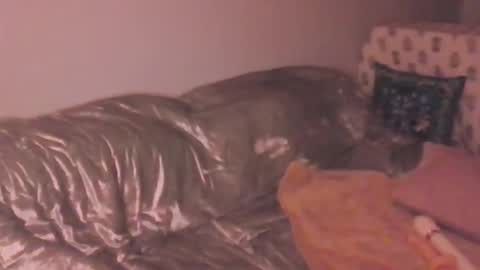 Snapshot of lolapeach222 chatting on 03.20.26 Lola Peach xo online show from 03.20.26