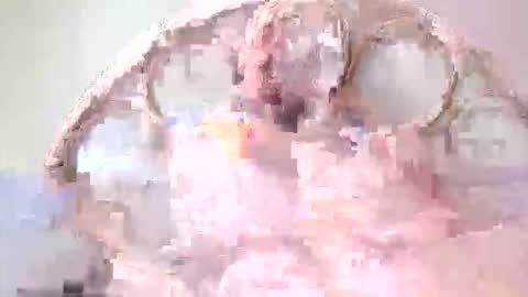 Lolo online show from 03.10.26