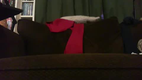 Snapshot of longlorne chatting on 11.18.25 longlorne online show from 11.18.25