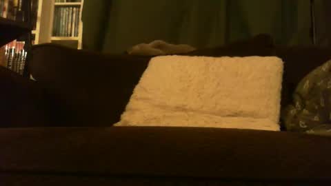 Snapshot of longlorne chatting on 02.15.26 longlorne online show from 02.15.26