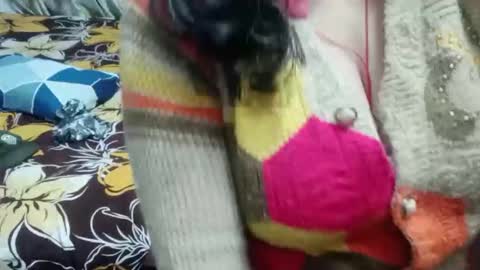 Shy Housewife online show from 12.16.25