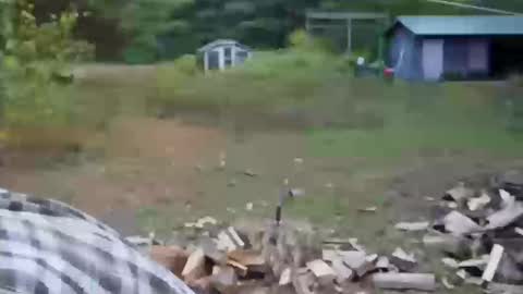 Snapshot of longtimerambler chatting on 10.11.25 longtimerambler online show from 10.11.25