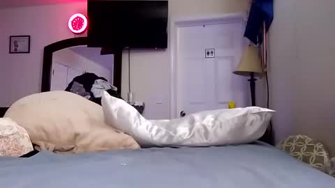 lookatmecum4you online show from 01.18.25