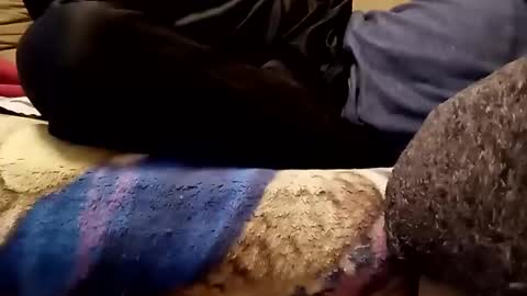 Snapshot of looking4bush chatting on 11.13.25 looking4bush online show from 11.13.25