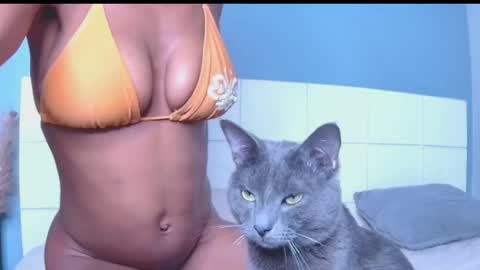 Blackcat online show from 03.30.26