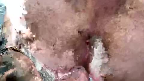 lord47maliby online show from 04.29.26