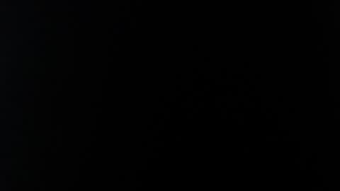 Snapshot of lorex_27 chatting on 01.14.25 lorexxw online show from 01.14.25