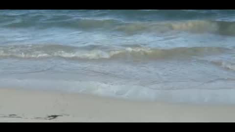 Snapshot of louis_zh chatting on 11.05.25 Louis online show from 11.05.25