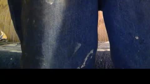 love69bush online show from 02.08.26