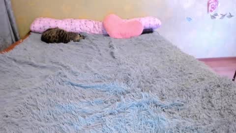 Snapshot of loveboys1993 chatting on 01.01.25 cat-girl online show from 01.01.25