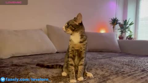 Elsa online show from 10.22.25