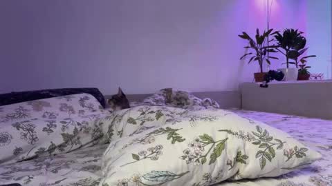 Elsa online show from 11.14.25