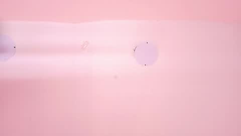 L O V E  online show from 03.12.26