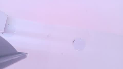 L O V E  online show from 03.13.26