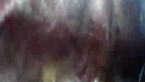 Mature lover2 online show from 02.21.25