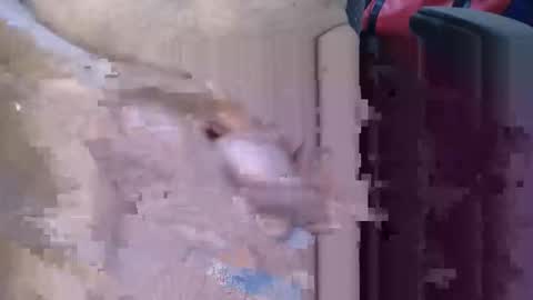 Snapshot of lovesblackazz chatting on 03.09.26 Lovesblackazz online show from 03.09.26