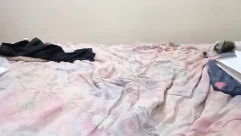 Snapshot of luanapowerful chatting on 02.11.25 luanapowerful online show from 02.11.25