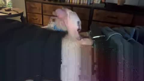 lubthemtitties online show from 12.22.24