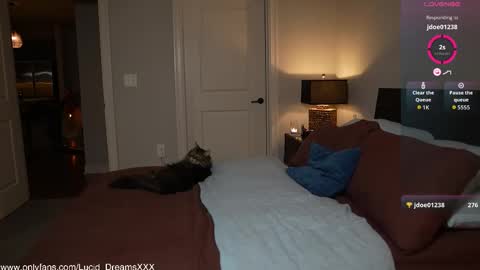 Lucid Lu online show from 10.15.25