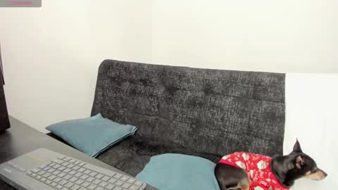 Snapshot of lucii_30 chatting on 12.04.25 luci online show from 12.04.25